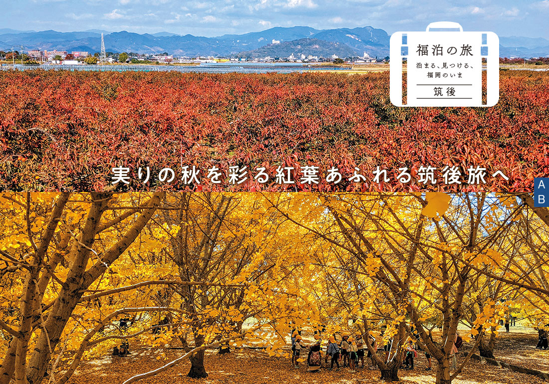 赤や黄の柿の葉、黄金色に染まるイチョウがある風景写真 赤や黄の柿の葉、黄金色に染まるイチョウがある風景写真