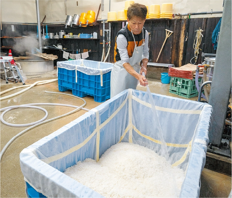 仕込み準備のための洗米作業の様子