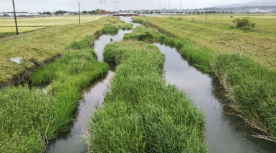 着工前の曽根田川の写真です。