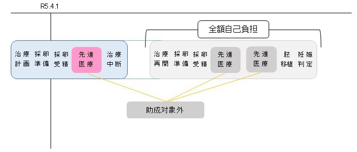 助成対象外治療の考え方