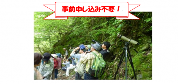 バードウォッチング