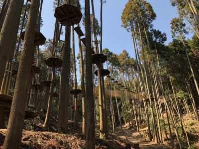 フォレストアドベンチャー・添田