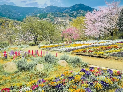福智山ろく花公園