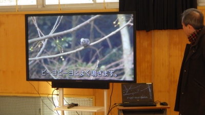 昨年度観察した野鳥がまとめられている動画
