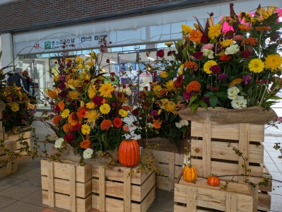 県庁ロビーでの飾花
