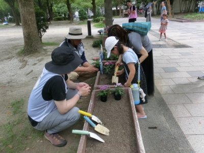 花の苗植え体験