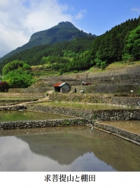 豊前市の求菩提山と棚田の画像