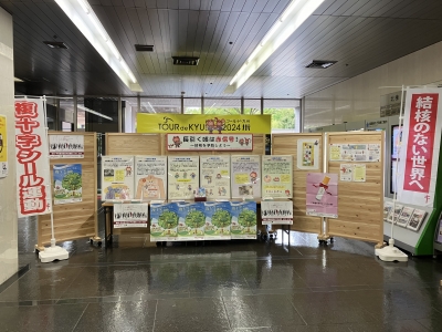 令和６年度のロビー展の様子
