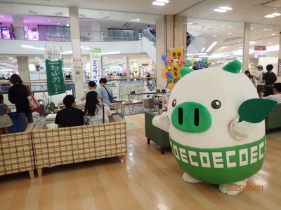 エコトン