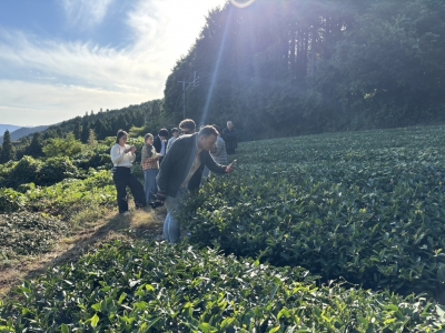 産地視察