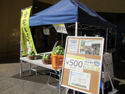里山レモンの会②