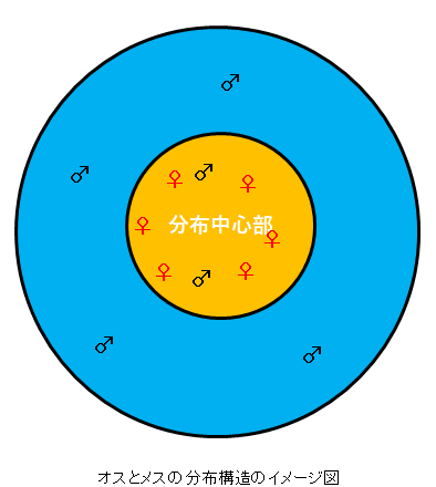 オスとメスの分布構造