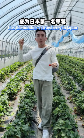 あまおう園地の写真