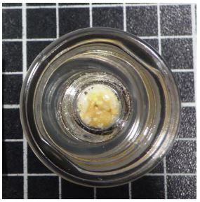 ワックス　製品の底面を撮影