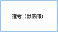 選考（獣医師）