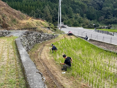 サポーター活動の様子