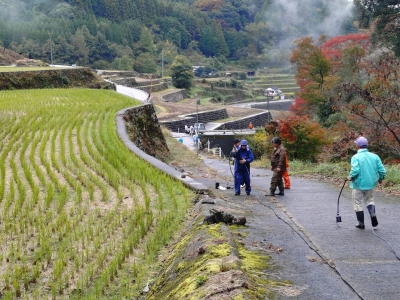 サポーター活動の様子