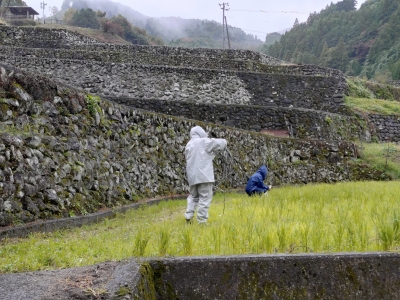 サポーター活動の様子