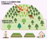 バッファーゾーンのイメージ