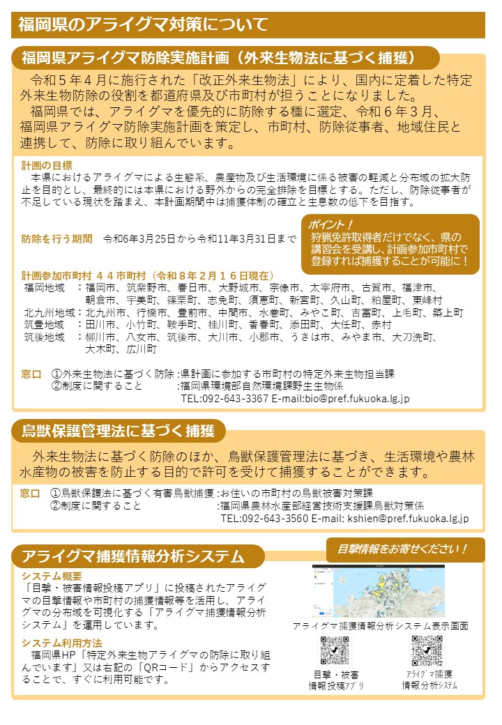 アライグマリーフレットウラ