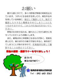 野鳥の観察マナーについて
