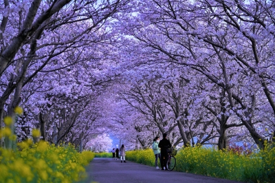 写真部門　景観発見賞