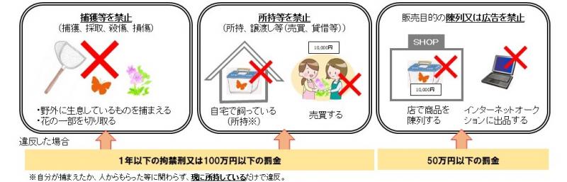 罰則内容