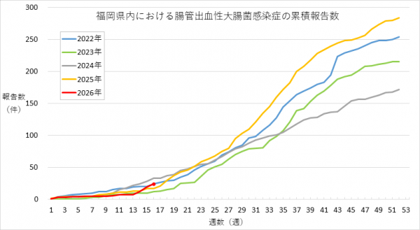 福岡県内における腸管出血性大腸菌感染症の報告数のグラフです。