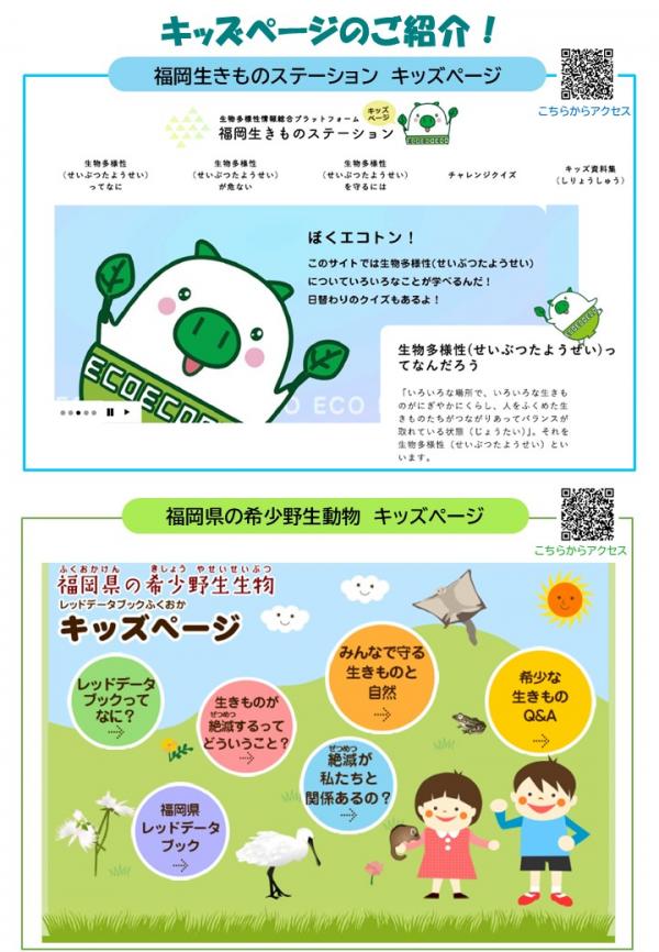 「福岡生きものステーション」周知リーフレット 裏