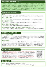 アカミミガメ