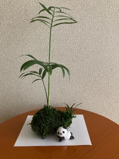 体験内容の写真