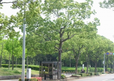 禁止物件イメージ図