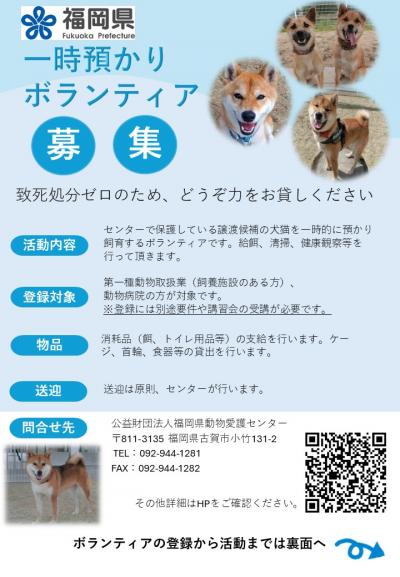 表
