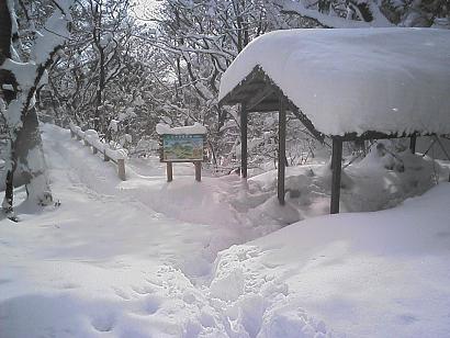 雪景色の脊振山山頂付近