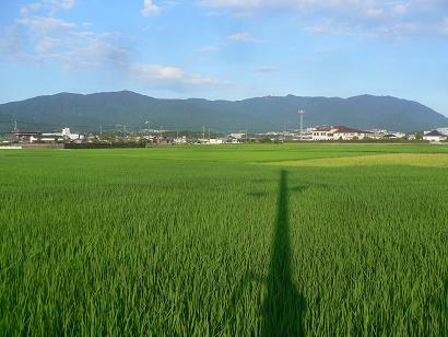 志免町吉原付近より眺める宝満・三郡・砥石山