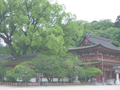 太宰府県立自然公園の写真です