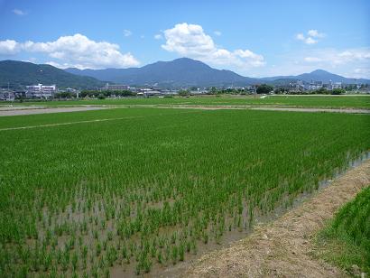 筑紫野市杉塚付近より眺める宝満山