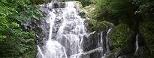 脊振雷山県立自然公園の画像です