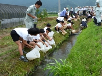 絶滅危惧種ヒナモロコの放流会