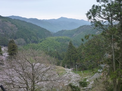 八木山峠八木山展望公園より望む笠置山