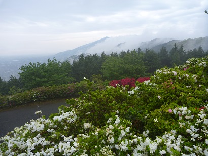 久留米森林つつじ公園より望む雨上がりの耳納連山