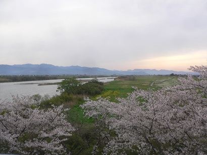 早朝の両筑橋より筑後川上流を望む