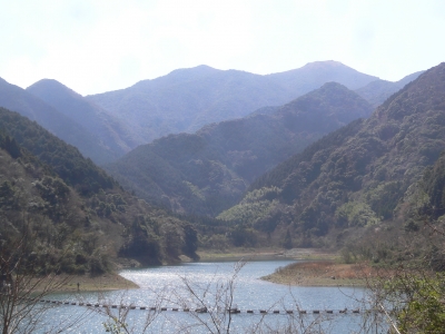 ます渕ダムより見上げた福智山の写真です