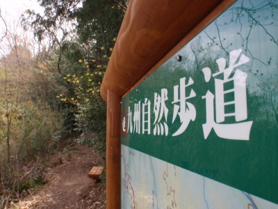 雁股峠付近の九州自然歩道の写真です