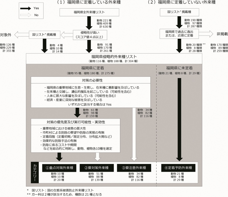 侵略的外来種リストの選定の流れ