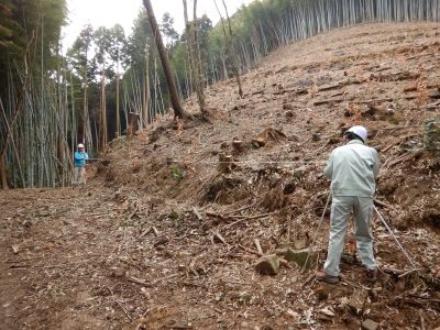 面積の確認の写真です。
