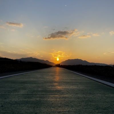 夕日が自転車道に光の道を照らす風景